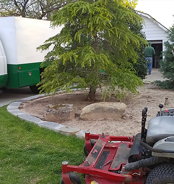 Tree Removal and Trimming